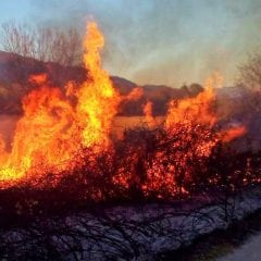 Incendi, vigili del fuoco chiedono più risorse