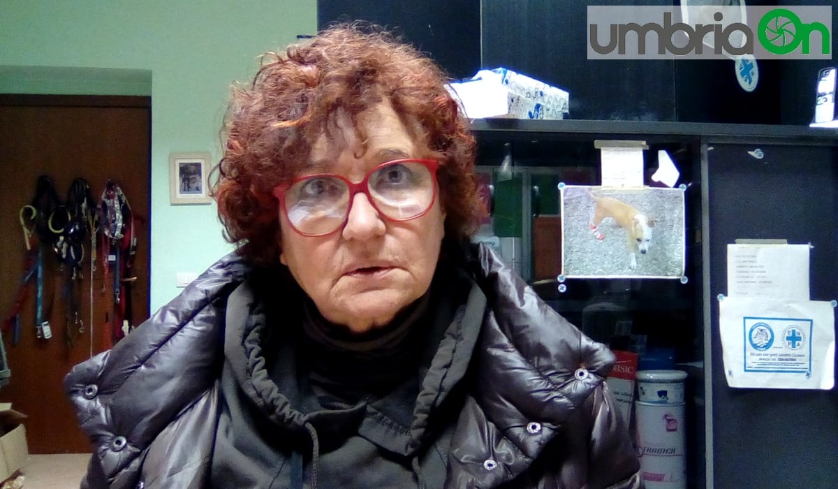 Enpa: «Diamo la casa agli amici animali»