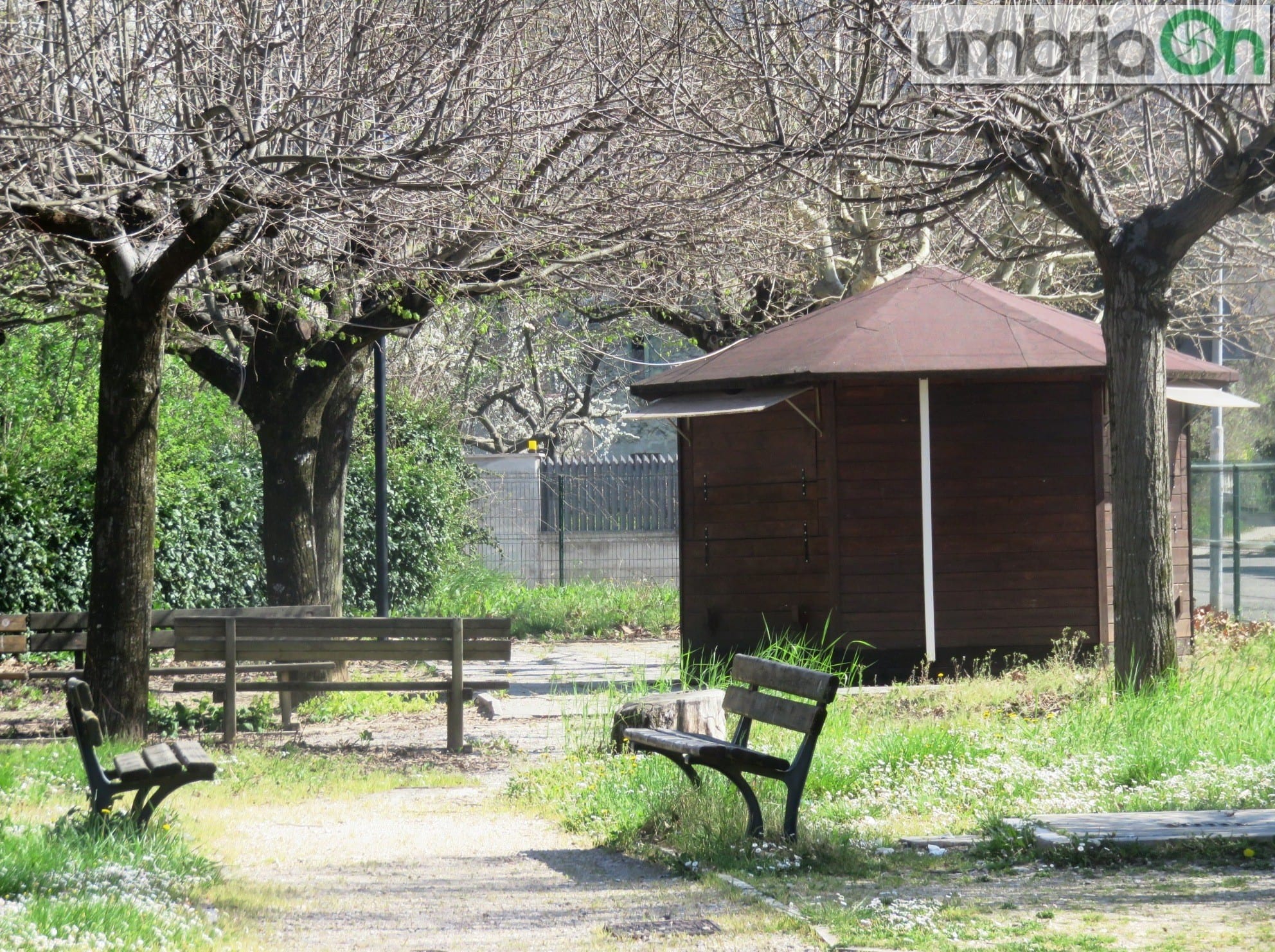L'area verde accanto al villaggio Matteotti