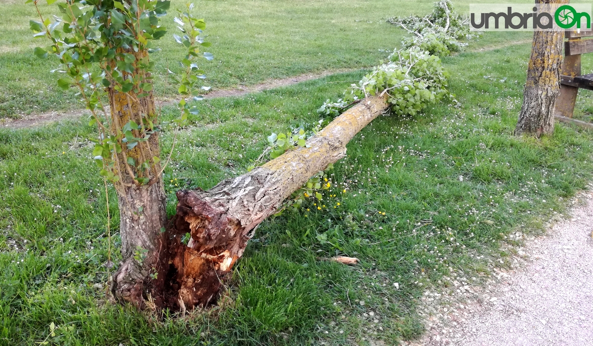 Percorso Verde Perugia danni da maltempo 4