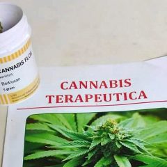 Cannabis terapeutica: «In Umbria funziona»