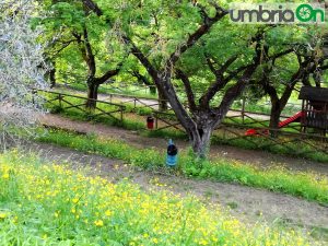 Parco Sant'Angelo Perugia 3 maggio 2017