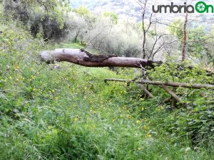 Parco Sant'Angelo Perugia 3 maggio 2017