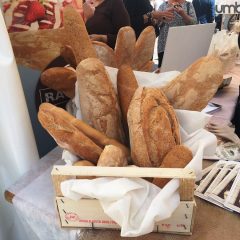 Terni, con ‘Bread fest’ solidarietà da guinness