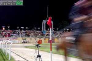 Quintana Foligno 2014 Giostra Sfida Wind of Passion