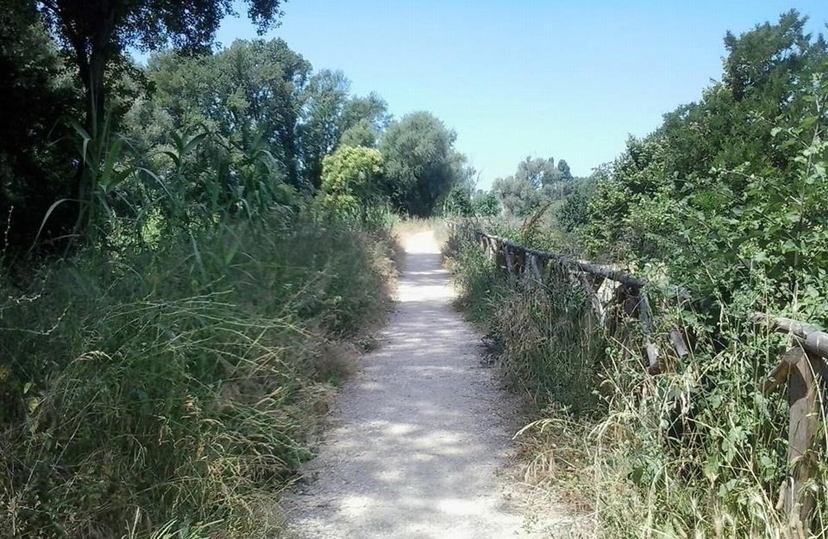 Terni, parco fluviale: giungla un anno dopo