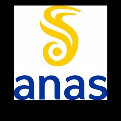 Anas cambia il logo: «Morbido e dinamico»