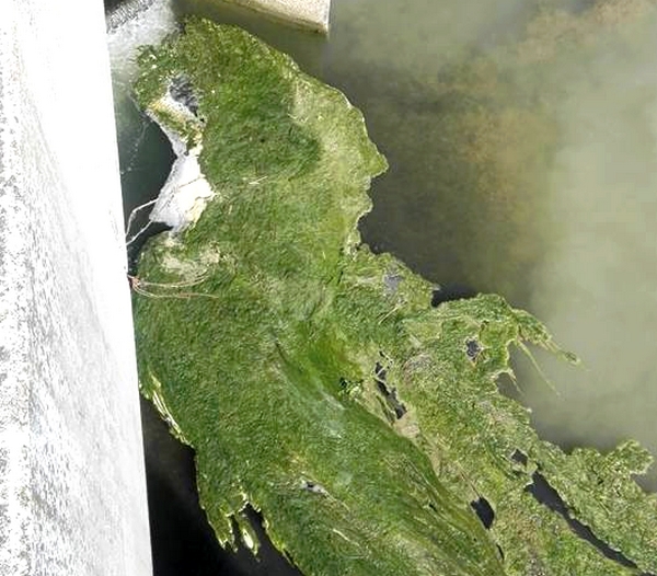 Bevagna, il funerale del fiume Teverone