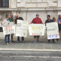 Ex Pozzi, la protesta: «Vogliamo la verità»