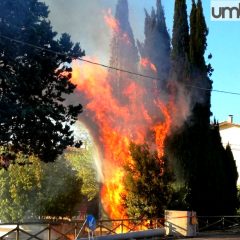 Perugia, Casenuove: cipressi in fiamme