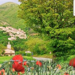 Norcia, un Ferragosto di speranza e musica