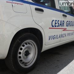 Terni, Cesar Group: rischio sopravvivenza