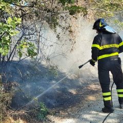 Incendi boschivi, poco personale e territori ‘scoperti’: «Si rischia»