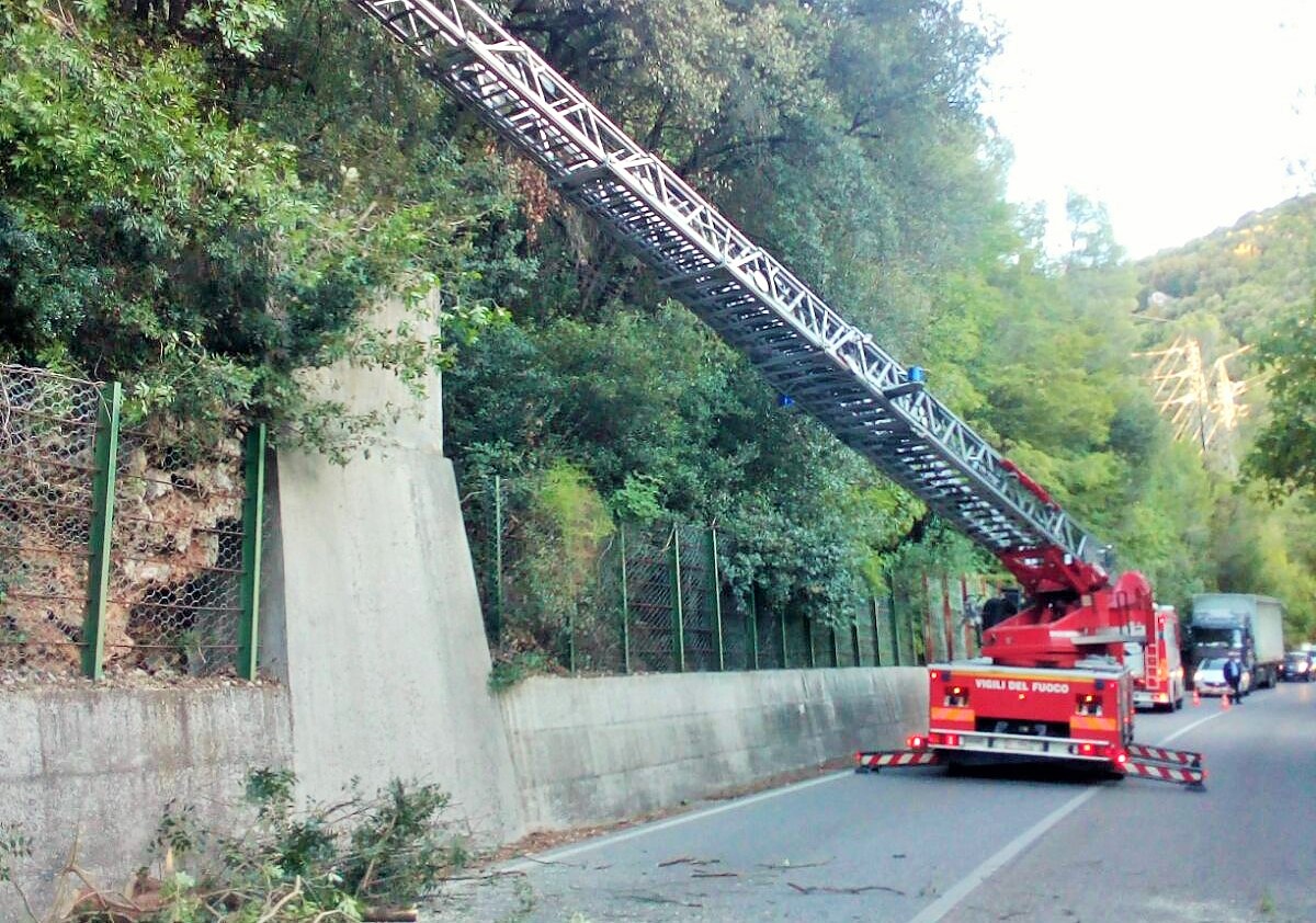 Albero pericolante, intervento a Narni