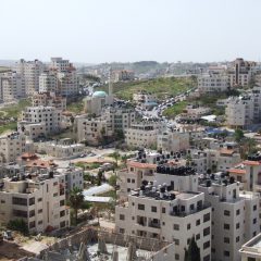 Umbria in Palestina: «Missioni costose»