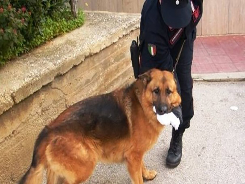 Tre chili di hashish, 57enne arrestato