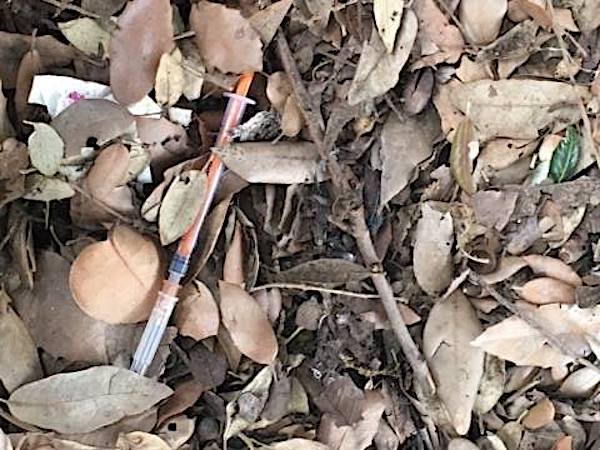 Terni, Pala Di Vittorio: «Siringhe e rifiuti»