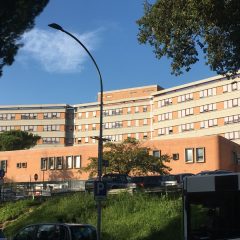 Umbria, Usl e ospedali: i nomi in lizza come Dg