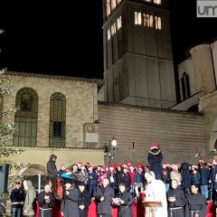 Assisi, acceso l’albero: comincia il Natale