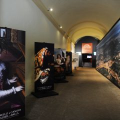 L’Accademia San Luca espone a Perugia
