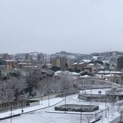 Umbria, ecco la neve: scatta l’emergenza