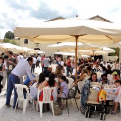 Cantine aperte, il vino torna protagonista