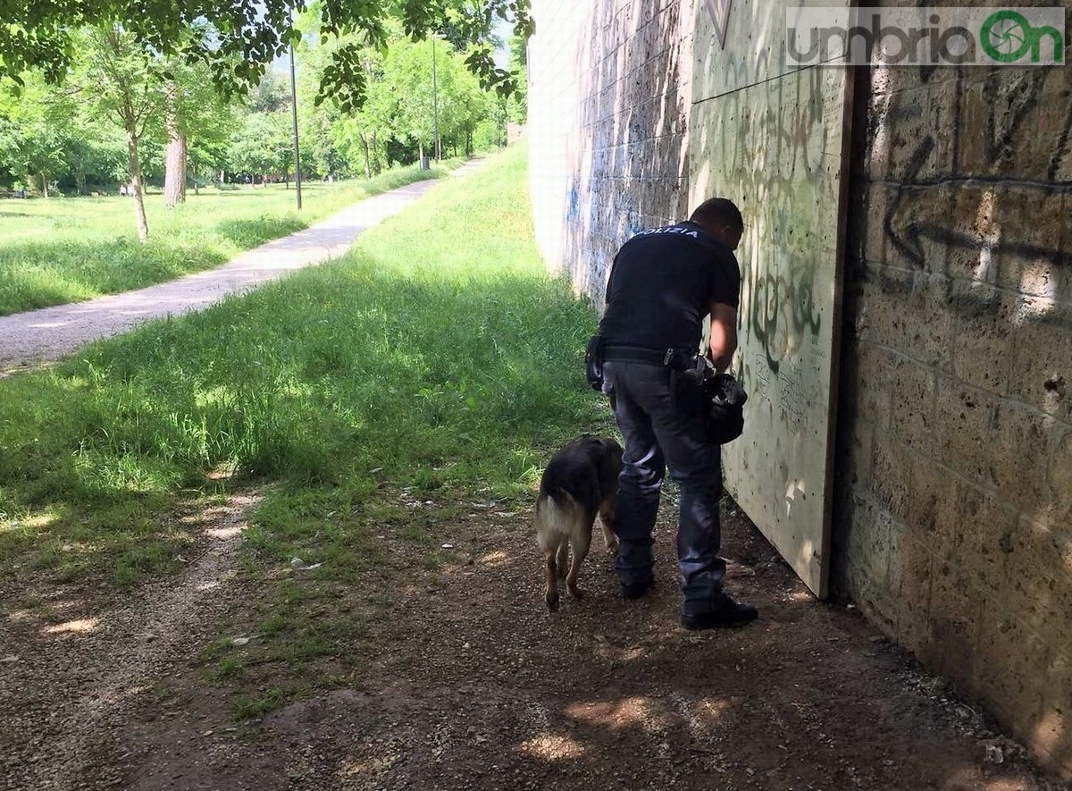 Terni, Paolo Angeletti: «Ripartire è possibile»