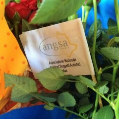 Umbria, autismo: ecco le rose dell’Angsa