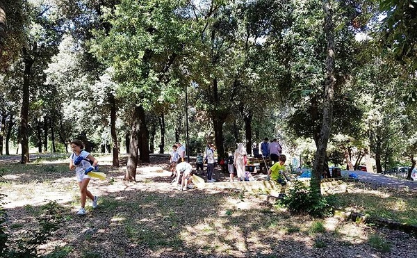 Bosco di Collerolletta ripulito e rinnovato