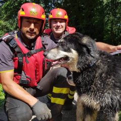 Perugia, 115 salva due cani nel fiume Tevere