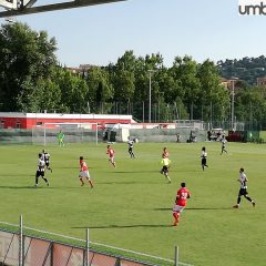 Video Perugia-Cluj, immagini dal campo