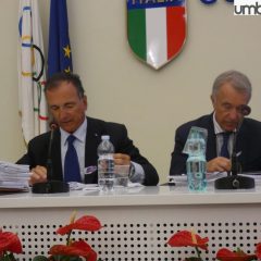 Ternana, Frattini apre a decisione rapida