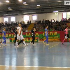 Falconara vs Ternana, bagarre prosegue