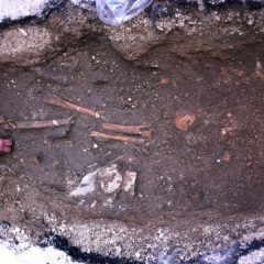 Resti di ossa umane trovati sotto la strada