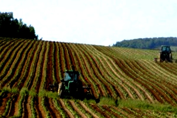 «In Umbria frodi per un milione e mezzo»