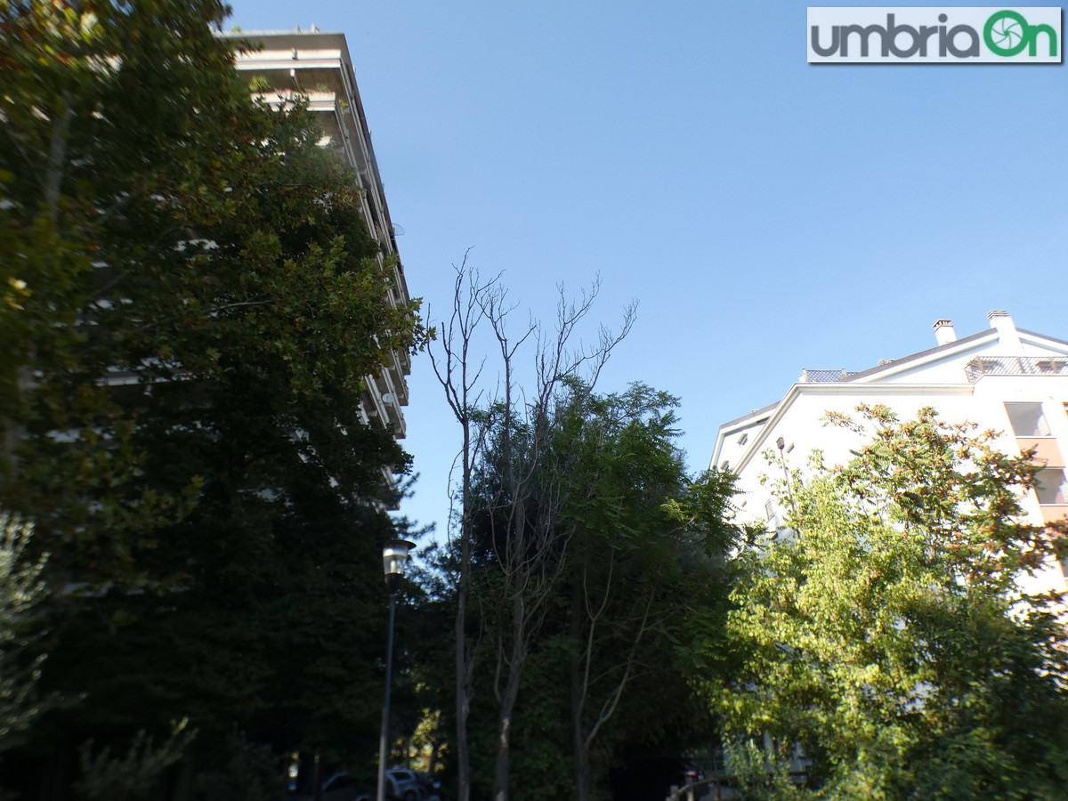 Terni, Cassero-Aleardi: ‘inclinata’ difettosa