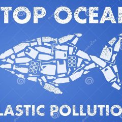 Narni, l’Ocean Club è ‘biodegradabile’