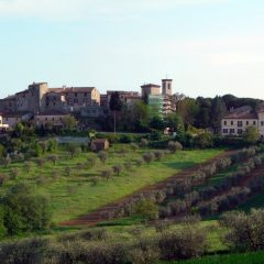 Egidio Lenticchia nuovo presidente della pro loco di Casteltodino