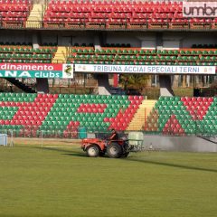 Perugia, Ternana e Gubbio: «Fateci aprire gli stadi a mille tifosi»
