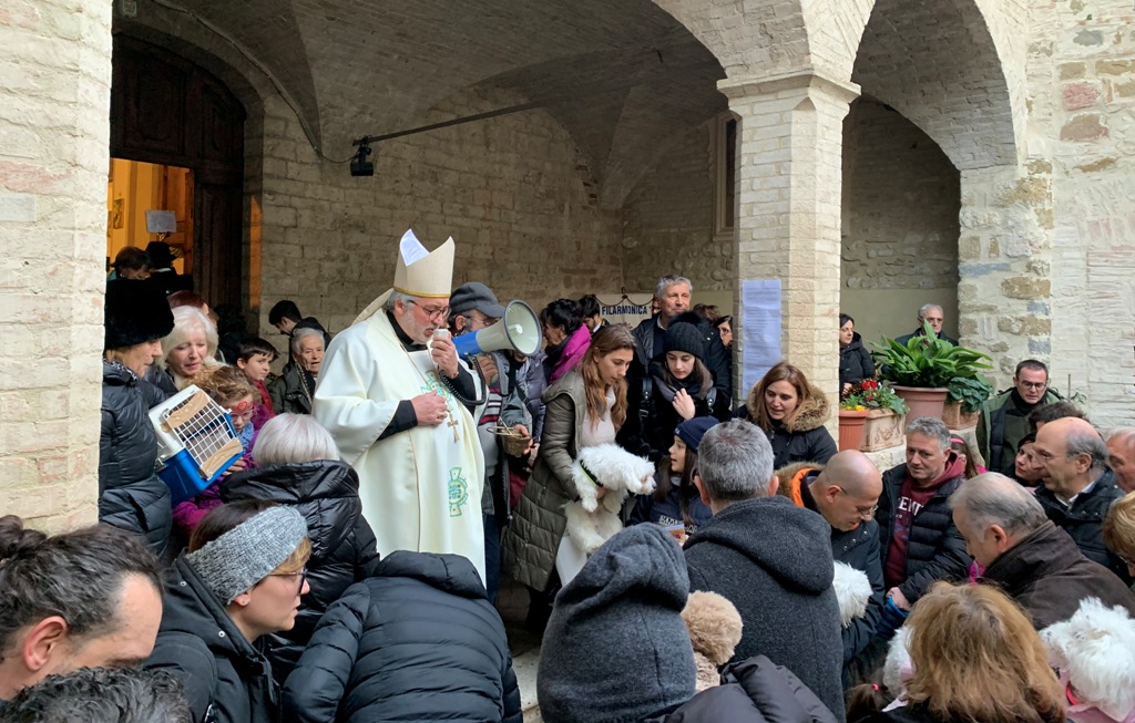 Perugia, il Vescovo benedice gli animali