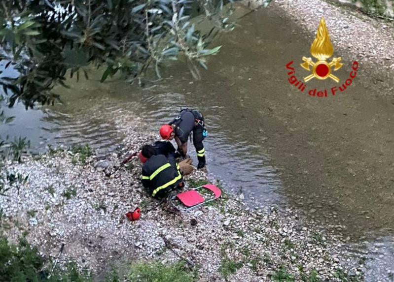 Terni, capriolo perde l’orientamento e finisce nel Serra