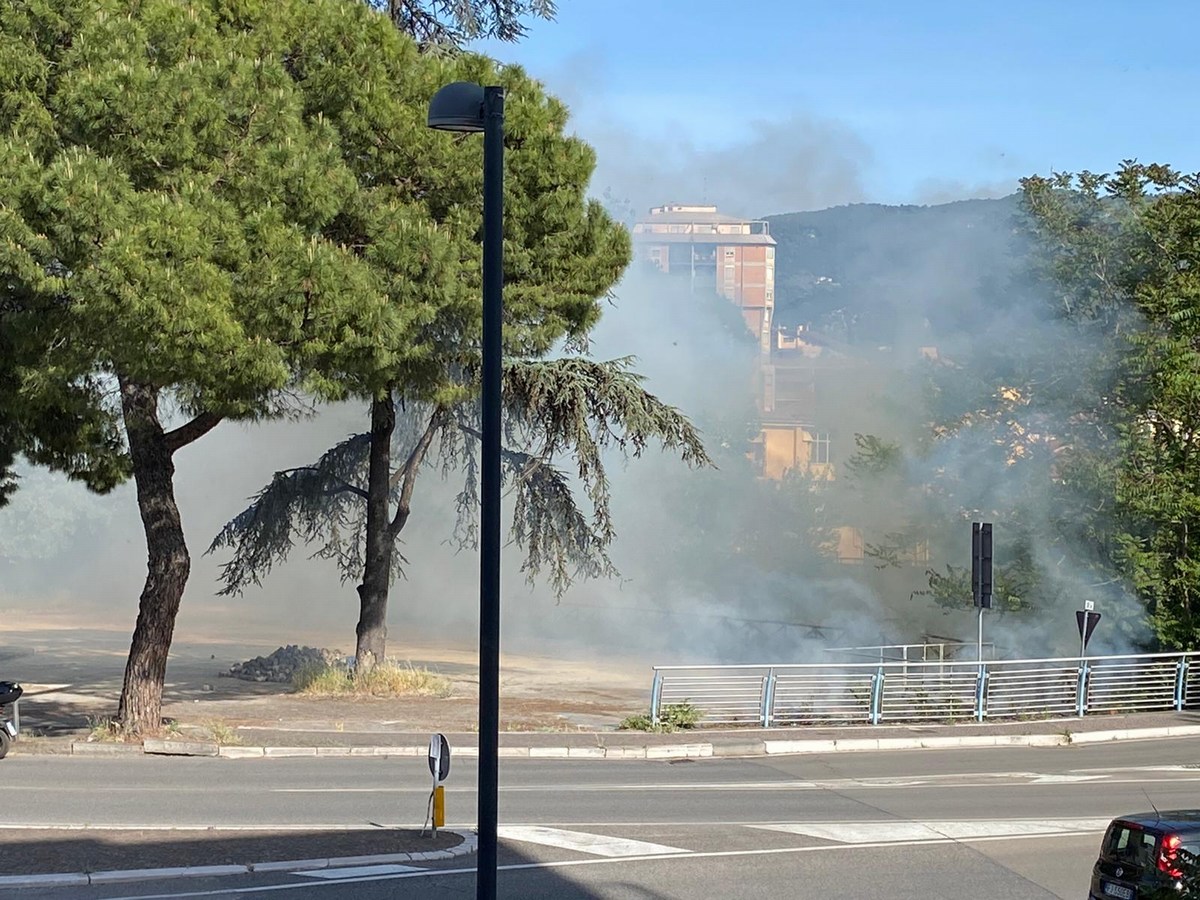 Terni, la ‘neve’ dei pioppi prende fuoco
