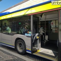 Trasporto pubblico, Carissimi: «Autobus gratis per i disabili»