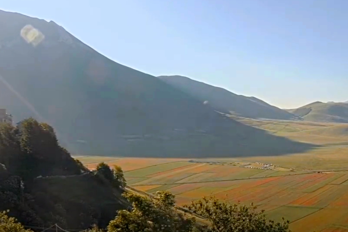 Castelluccio, timelapse della fioritura 2020