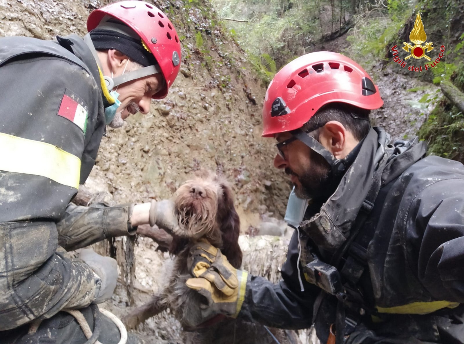 Video – Cane cade in forra: il recupero dei vigili del fuoco