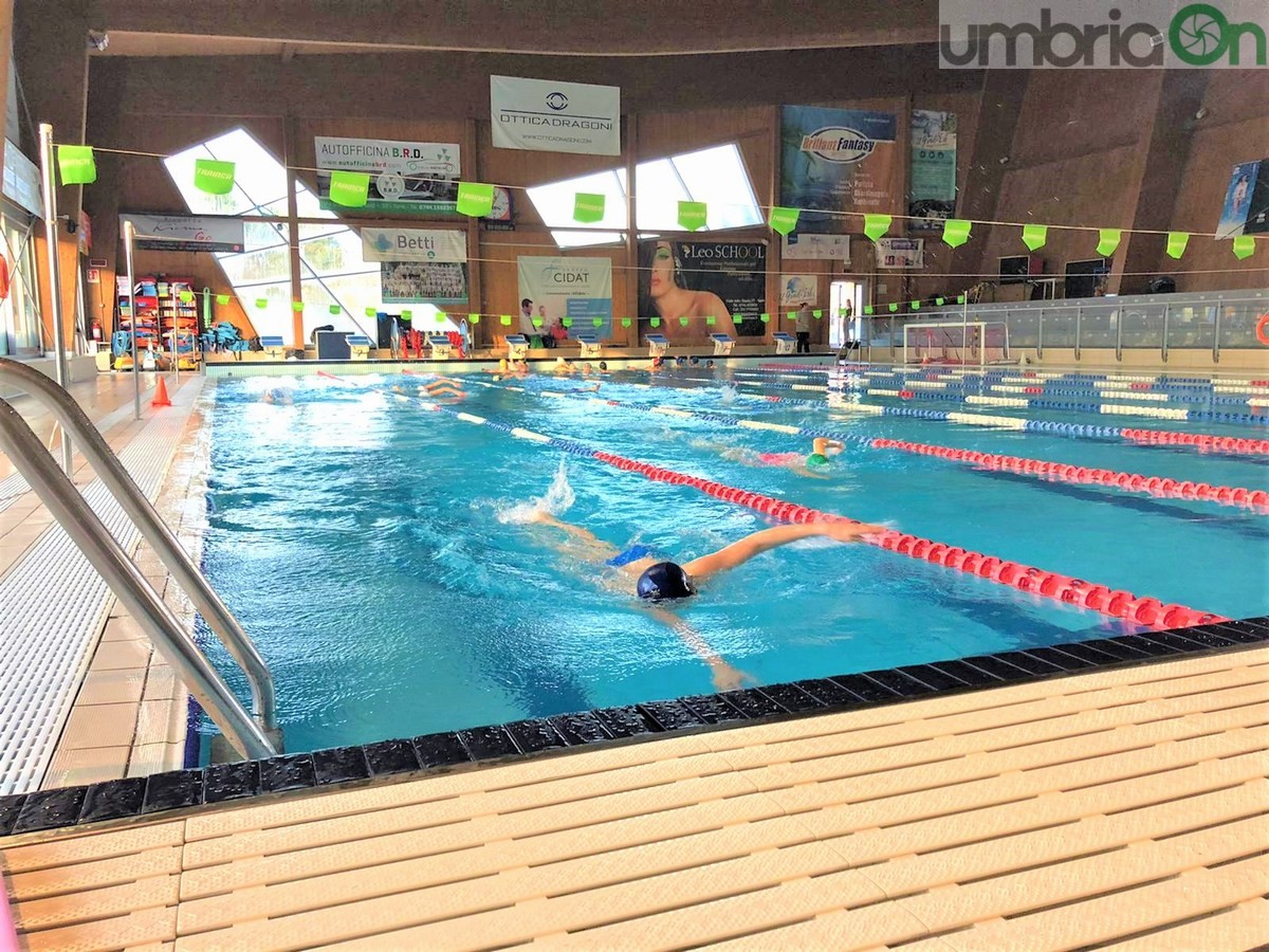 Piscine dello Stadio: «Nuoto mai fermo, qui non si molla»