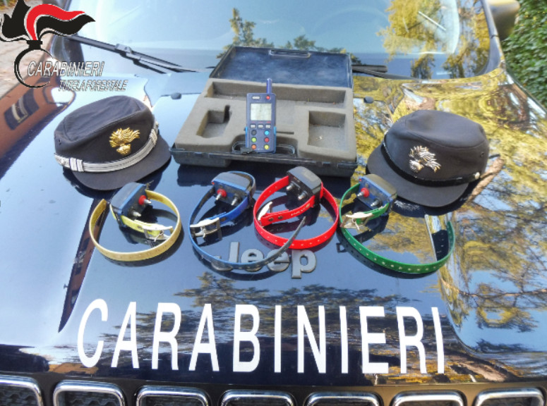 Cani addestrati con scariche elettriche: denunciato 70enne