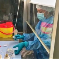 Come e dove si preparano gli anticorpi monoclonali – Video