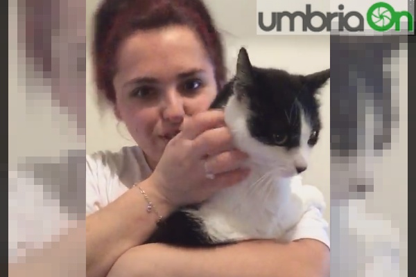 Ritrova il gatto dopo 16 mesi e le salta in braccio: «Che gioia»