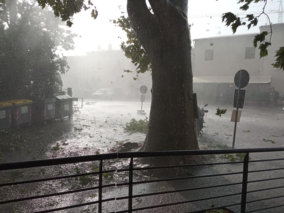 Grandinata a Norcia: cadono rami in strada